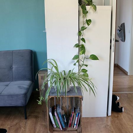 Gemuetliches Apartment Am Brombachsee Mit Seeblick. Абсберг Екстериор снимка